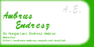 ambrus endresz business card